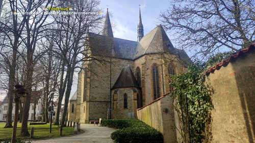 Der Herzebrocker Klosterwälder Rundwanderweg 