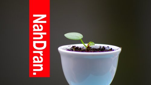 NahDran.: Saatgutbörse, "Offenes Mietcafe", "Repair Café"