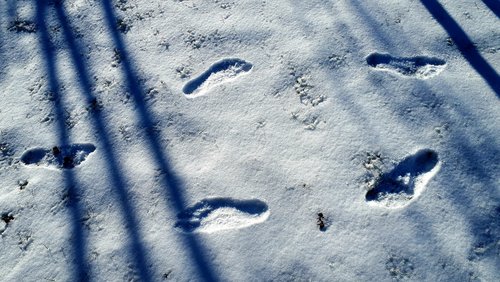 Die Nabel-Show: Plan 9 from Unterfranken