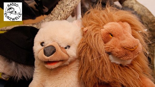 Radio Kurzwelle: Mentale Gesundheit von Kindern und Jugendlichen (Folge 1)