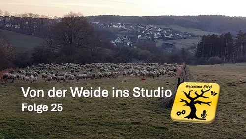Reizklima Eifel: Von der Weide ins Studio