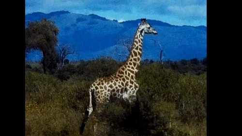 Das letzte Paradies - Reise durch Kenia