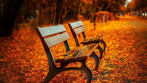 Sabbelsurium - Das offene Magazin: Erinnern an eine Kaserne, Gedanken zum Herbst und Kultur im öffentlichen Raum