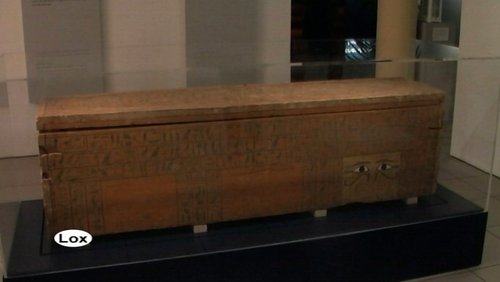 loxodonta: Von Ägypten nach Hamm