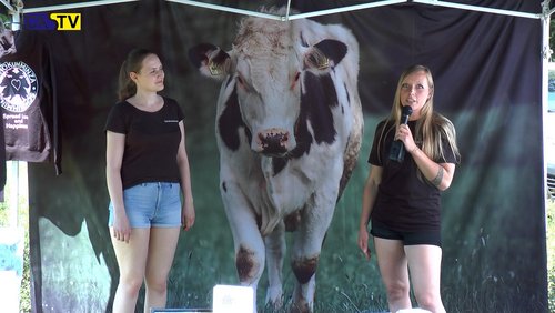 CAS-TV: "Merklinder MitMachMarkt", "Vegan Kultur im Park"