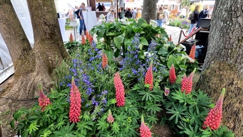 Frühlingspartie Stilblüte, Garten- und Landschaftsmesse in Wuppertal