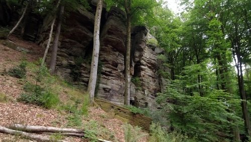 WanderBlog: Rundwanderweg im Naturpark Südeifel - Bollendorf