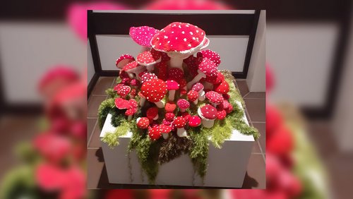 Krefelder Kulturcocktail: Ausstellung "Sehnsucht Wald", Band "TrioFlieger", "Silent Book Club" in der Mediothek Krefeld