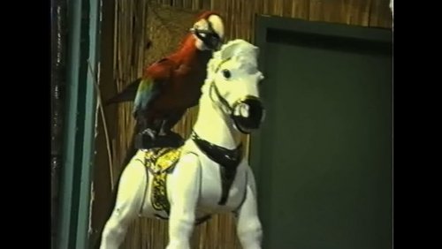 CYPRIS Gardens - Ein Amerikanisches Spektakel