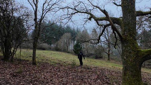 WanderBlog: Wandertour zu den Alten Schrottautos am Hengstberg bei Ahrbrück