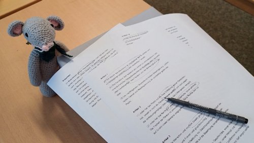 75 Jahre Grundgesetz: Wofür bist du dankbar? | Staubmaus Laurenz