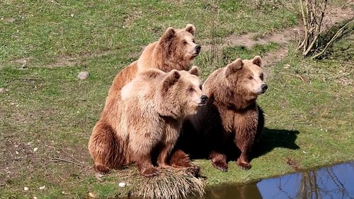 Schönes Gelsenkirchen: Die Zoom Erlebniswelt - Der Zoo in Gelsenkirchen