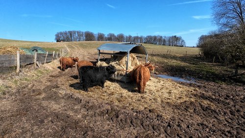 WanderBlog: Lindwurm-Extremmarsch 2025