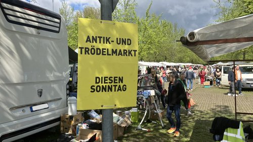 Hier und Jetzt: Flohmarkt P6 in Köln, Letzte Kneipe in Ippendorf, Ökosystem Wald