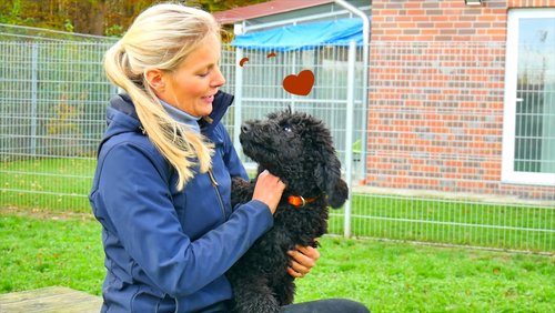 Julias Tierheim in Ahaus - Hymne für Julia