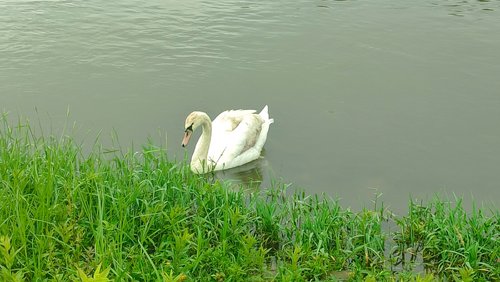 Wanderung durch die Landschaft an Werre und Weser - Teil 2