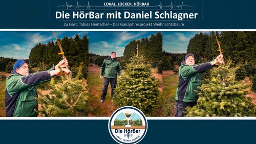 HörBar: Das Ganzjahresprojekt Weihnachtsbaum 