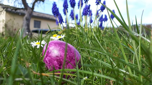 Die Nabel-Show: Der Hase ist tot!