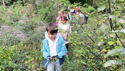 Die Ranger Story: Herbstferien 2023 im Schulwald