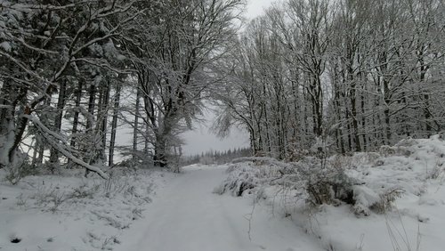 WanderBlog: Traumpfad Bergheidenweg