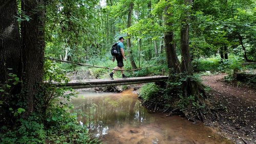 WanderBlog: Eifelschleife Eickser Busch