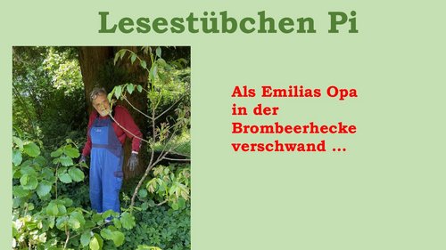 Lesestübchen Pi: Als Emilias Opa in der Brombeerhecke verschwand