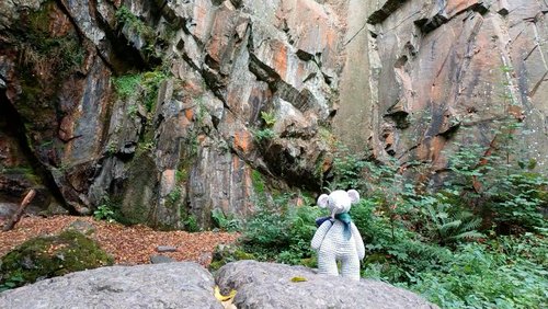 Laurenz - Eine Staubmaus im Archiv: Vom Neandertal ins Archiv