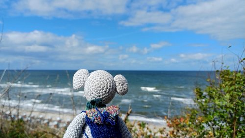 Laurenz - Eine Staubmaus im Archiv: Die See, Bücher und ein Archiv. Staubmaus auf Reisen