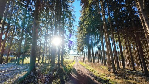WanderBlog: EifelSpur Münstereifelsteig