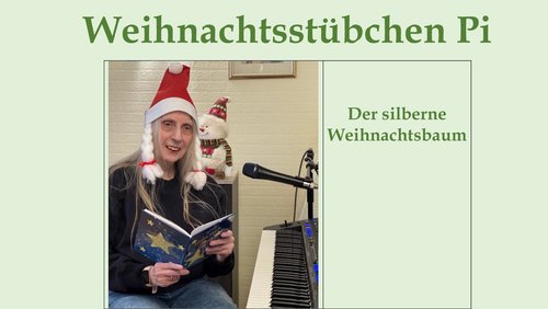 Weihnachtsstübchen Pi: Der silberne Weihnachtsbaum