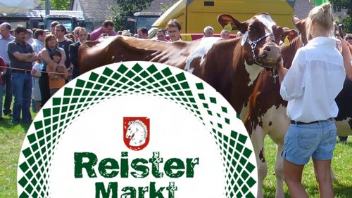 Do biste platt 794: Raister Market (Reister Markt)