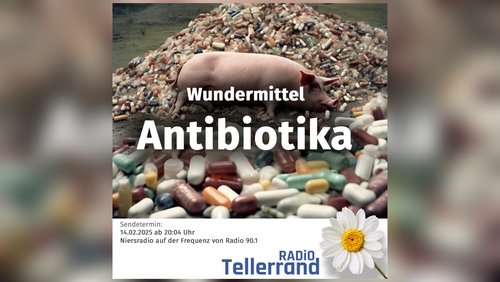 Tellerrand: Antibiotika und Massentierhaltung