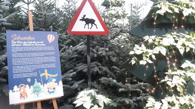 Do biste platt 810: Geleyt düör diän Advänt - Geleit durch den Advent (Teil 3) episode artwork