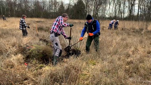 Frühjahrsputz im Varviksveld bei Enschede