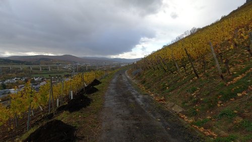 WanderBlog: Rundwanderweg von Gimmigen zur Landskrone in Bad-Neuenahr