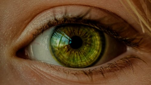 Im Auge der Wissenschaft