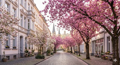 Hier und Jetzt: Innovation und Gründen, Nora-Frauenbuchladen, Holi-Fest, Frühling in und um Bonn