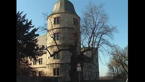 Sälzer Fenster: Jugendherberge Wewelsburg, Bienen in Not