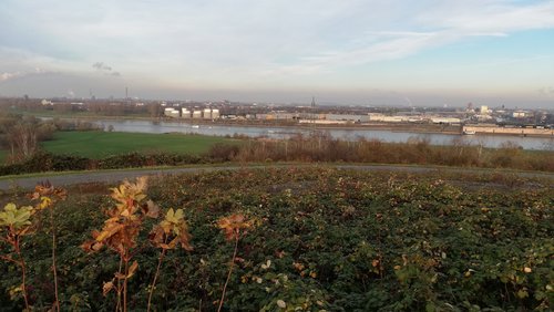 Heimat - Made in Duisburg: Boostern verbindet - Impfen gegen das Coronavirus