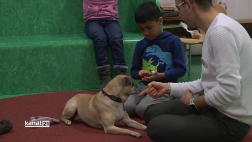 "Vorlesen mit Hund!" in der Stadtbibliothek Bielefeld