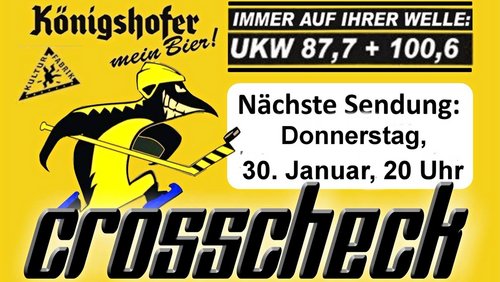 Crosscheck: Sportliche Perspektive der Krefeld Pinguine