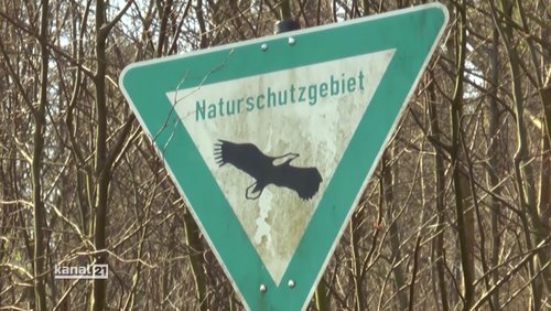 Begin Your Integration: Naturschutzgebiet, Europawahl 2019, Frühjahrsputz