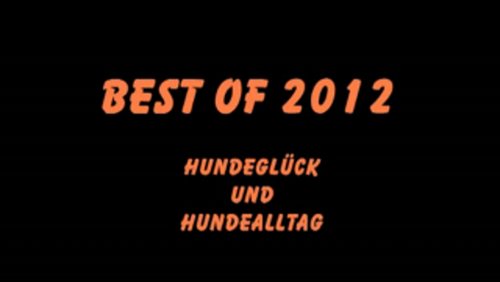 Riepes Hundetalk: Best Of 2012