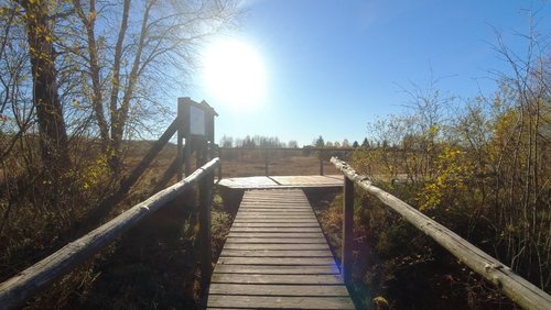 WanderBlog: Hohes Venn in Belgien