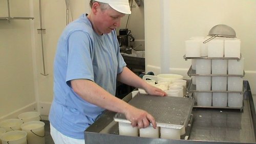 Sälzer Fenster: Milchprodukte aus der Region, Longboard-Ausflug