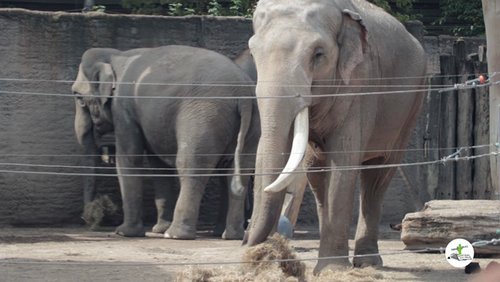 Wir in Münster: Unterwegs im Allwetterzoo Münster