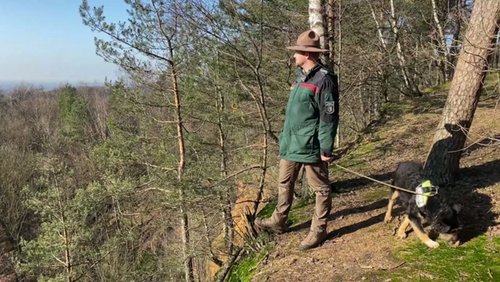 Die Ranger Story: Aaron Gellern, Ranger im Bielefelder Wald