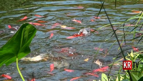 Von der Versiegelung zur Entsiegelung - Wasserhaushaltsgesetz