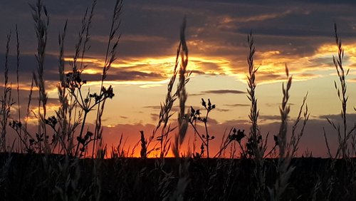 Die Nabel-Show: Erinnerungen an Sonnenuntergänge und Autos