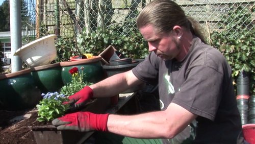 bochum-lokal: Frühlingsblumen pflanzen